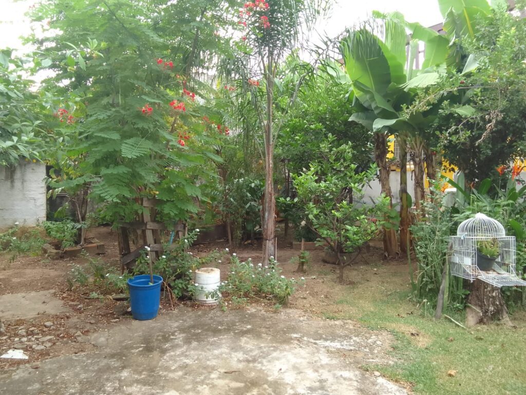 WhatsApp Image 2024-04-12 at 10.51.56