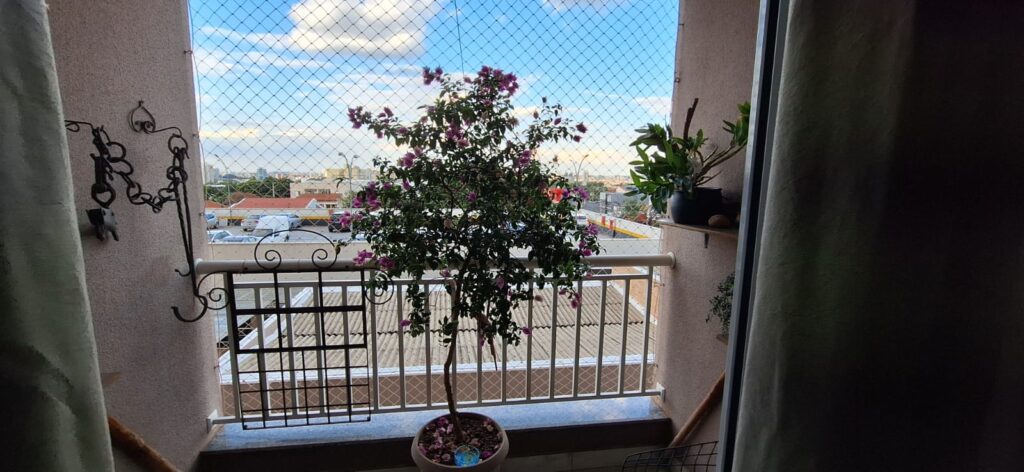 1 (14)